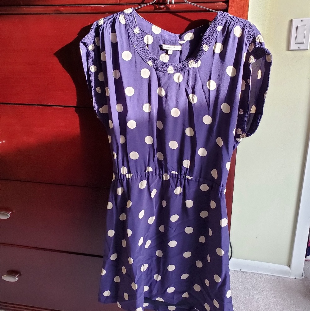 Silk Blue & White Polka Dot Dress, size small
